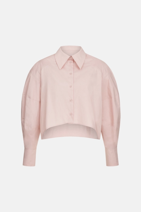 Аmple shirt